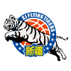 Xinjiang Flying Tigers