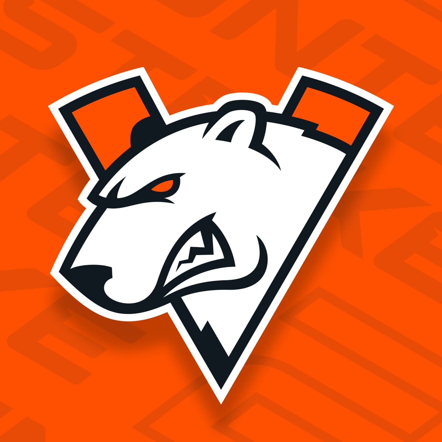 VP