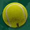 ZVEREV